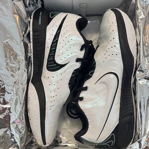 Nike LeBron 21 “conchiolin”